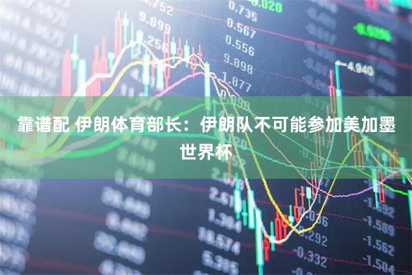 靠谱配 伊朗体育部长：伊朗队不可能参加美加墨世界杯