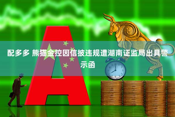 配多多 熊猫金控因信披违规遭湖南证监局出具警示函