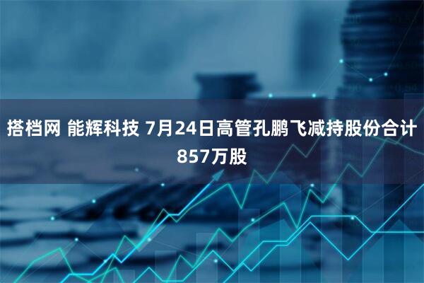 搭档网 能辉科技 7月24日高管孔鹏飞减持股份合计857万股