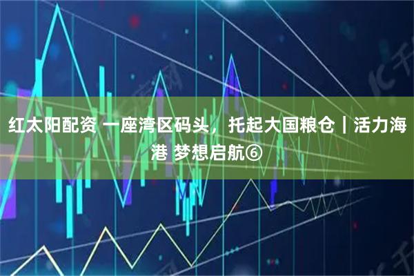 红太阳配资 一座湾区码头，托起大国粮仓｜活力海港 梦想启航⑥
