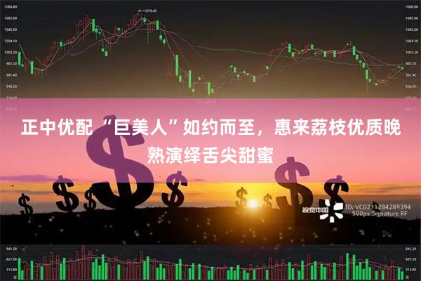 正中优配 “巨美人”如约而至，惠来荔枝优质晚熟演绎舌尖甜蜜