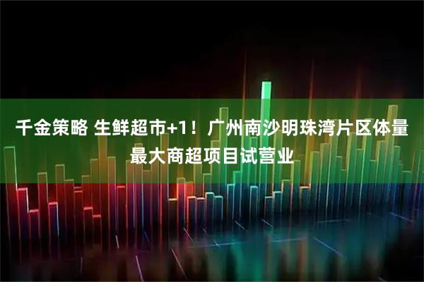 千金策略 生鲜超市+1！广州南沙明珠湾片区体量最大商超项目试营业