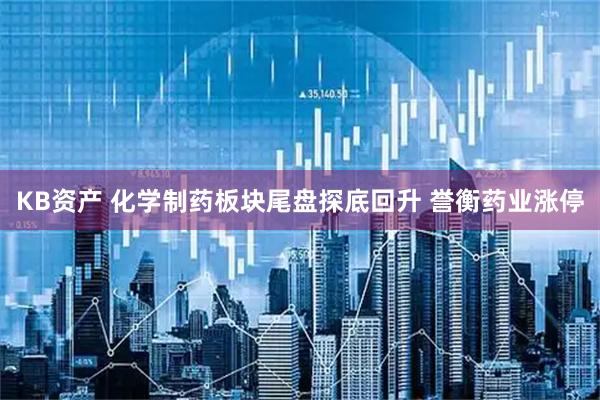 KB资产 化学制药板块尾盘探底回升 誉衡药业涨停