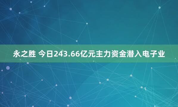 永之胜 今日243.66亿元主力资金潜入电子业
